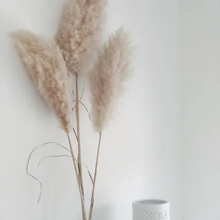 Echt-bergen Appartement *