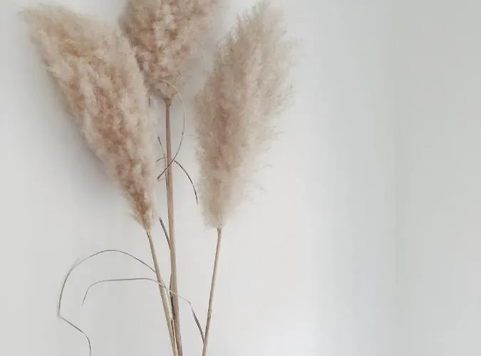 Echt-bergen Appartement *